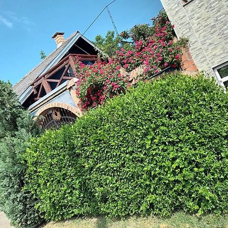 Apartman Vrdnicak Vrdnik Εξωτερικό φωτογραφία