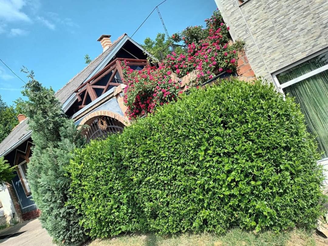Apartman Vrdnicak Vrdnik Εξωτερικό φωτογραφία