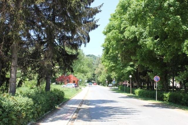 Apartman Vrdnicak Vrdnik Εξωτερικό φωτογραφία