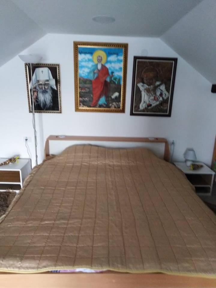 Apartman Vrdnicak Vrdnik Εξωτερικό φωτογραφία